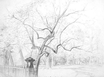 1999 Park Overture_22-5x30 in_pencil_1733