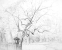 1999 Park Overture_22-5x30 in_pencil_1733