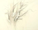 1986 Dust of Snow_18x17-5 in_pencil_410